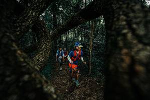 BIB: 
                            <button type="button" onclick="openModal(25676521)" class="btn btn-primary btn-sm float-right btn-popup" data-toggle="modal" data-target=".modal-high-quality">
                        <i class="fas fa-shopping-cart"></i> Add to Cart
                    </button>
                                            <button type="button" onclick="isThisMe(25676521, true)" class="btn btn-success btn-sm float-right btn-popup btn-isme hidden" data-toggle="tooltip" data-placement="bottom" title="นี่คือรูปของคุณใช่ไหม คลิกที่นี่เพื่อเอาเข้าอัลบั้ม">
                        <i class="fas fa-plus"></i> Add to album
                    </button>
                    <button type="button" onclick="isThisMe(25676521, false)" class="btn btn-warning btn-sm float-right btn-popup btn-isnotme hidden">
                        <i class="fas fa-ban"></i> Remove from album
                    </button>